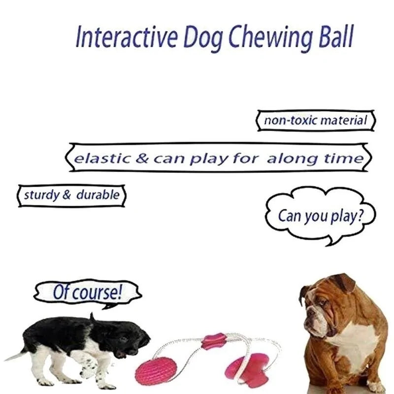 Dog Chew Toy With Suction Cup