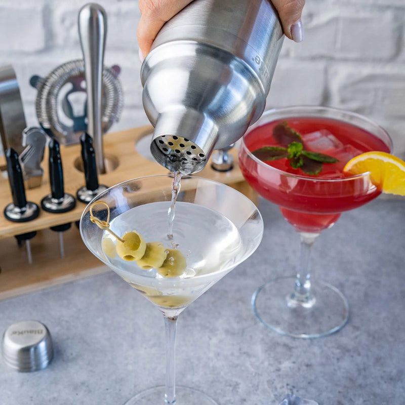 Stainless Steel 17-Piece Cocktail Shaker Set with Stand - Includes 25oz Shaker, Jigger, Strainer, Muddler, and Mixing Spoon.